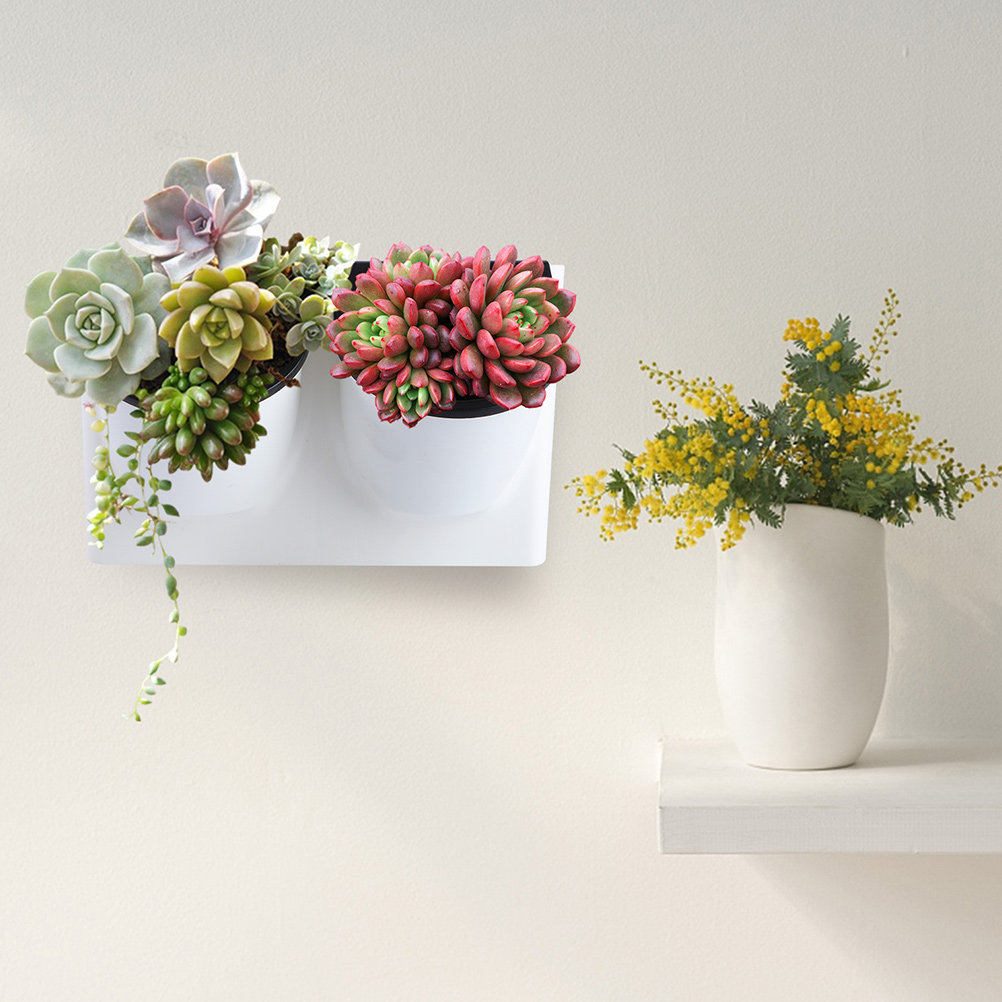 Succulent Planter Pot - Maceta de Plástico con Autorriego para