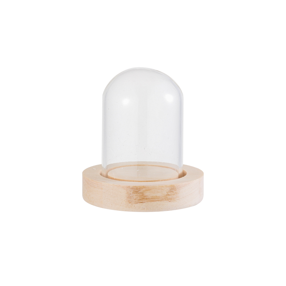 Home Decor Flowers - Luces Decorativas para el Hogar, Terrario,