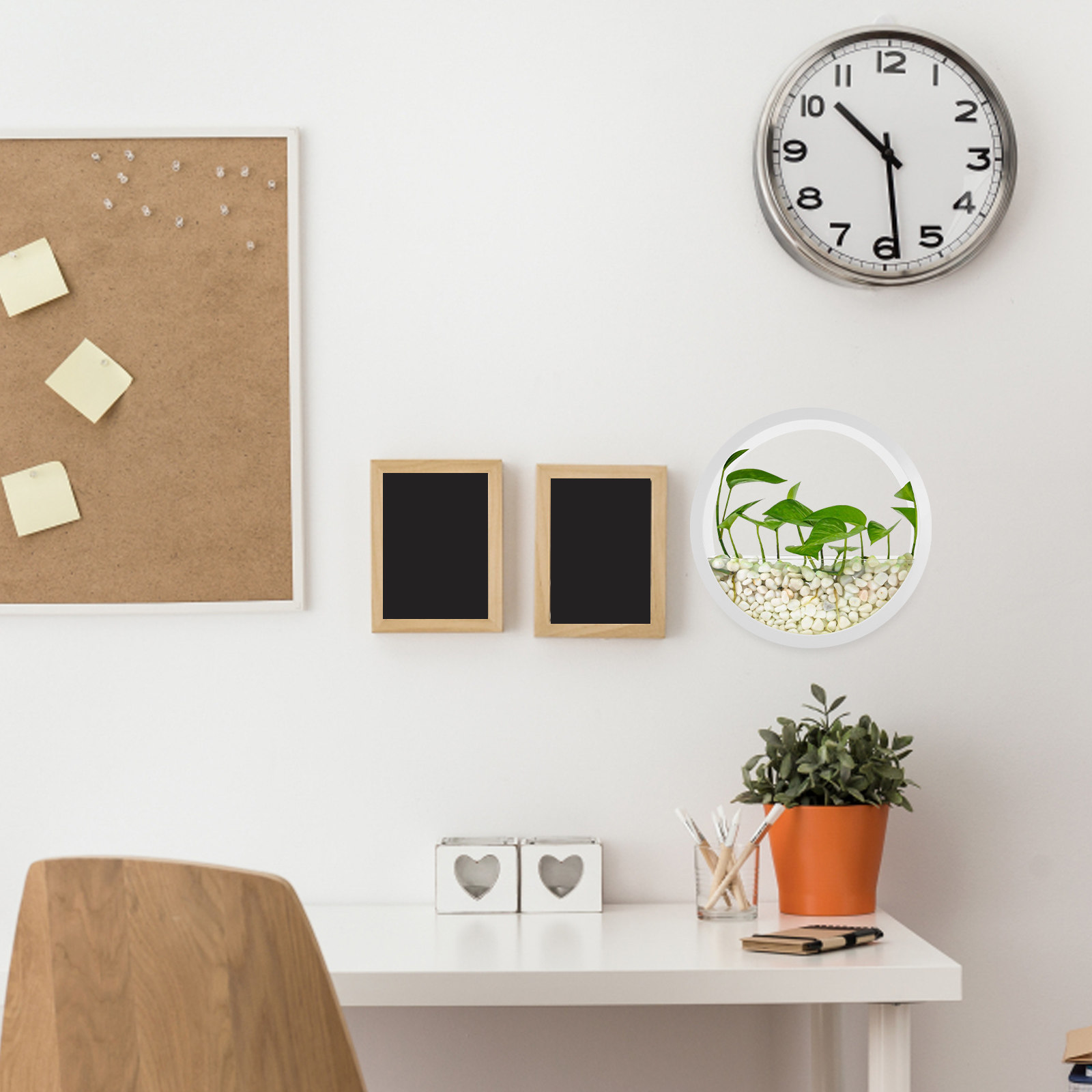 Jarrón de Pared Redondo Transp - Succulent Planter Pot reseña y precio
