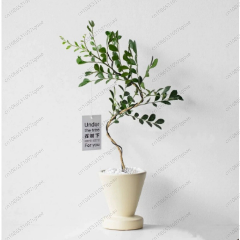 Maceta Cónica Minimalista de C - Succulent Planter Pot reseña y precio