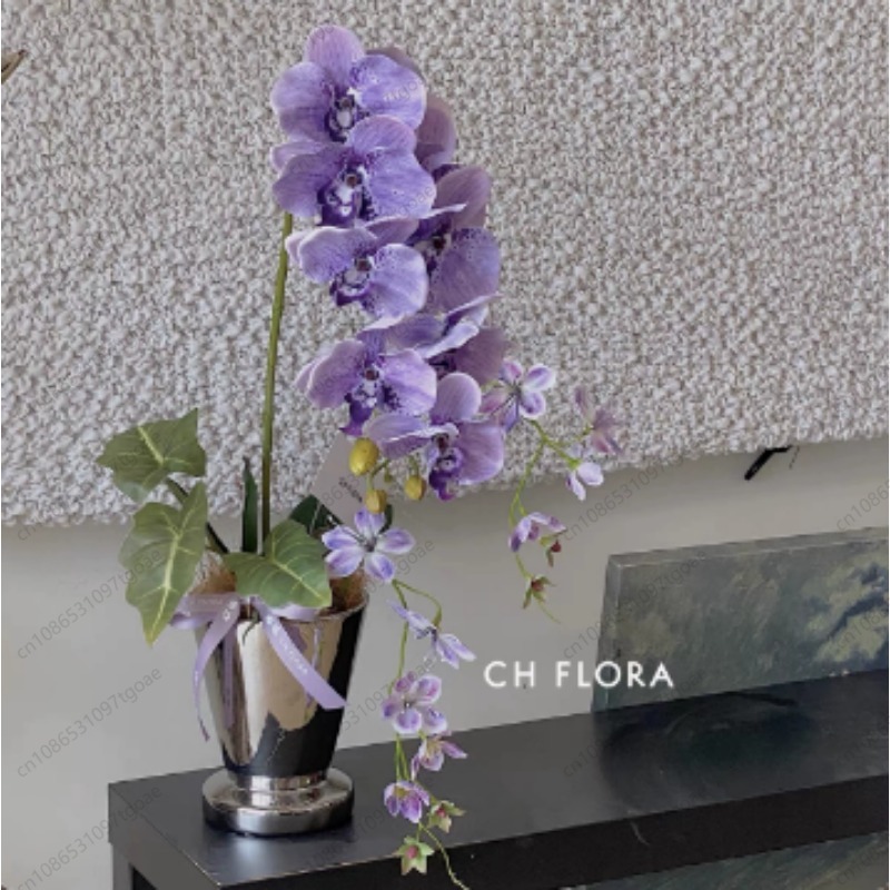 Maceta Cónica Minimalista de C - Succulent Planter Pot reseña y precio