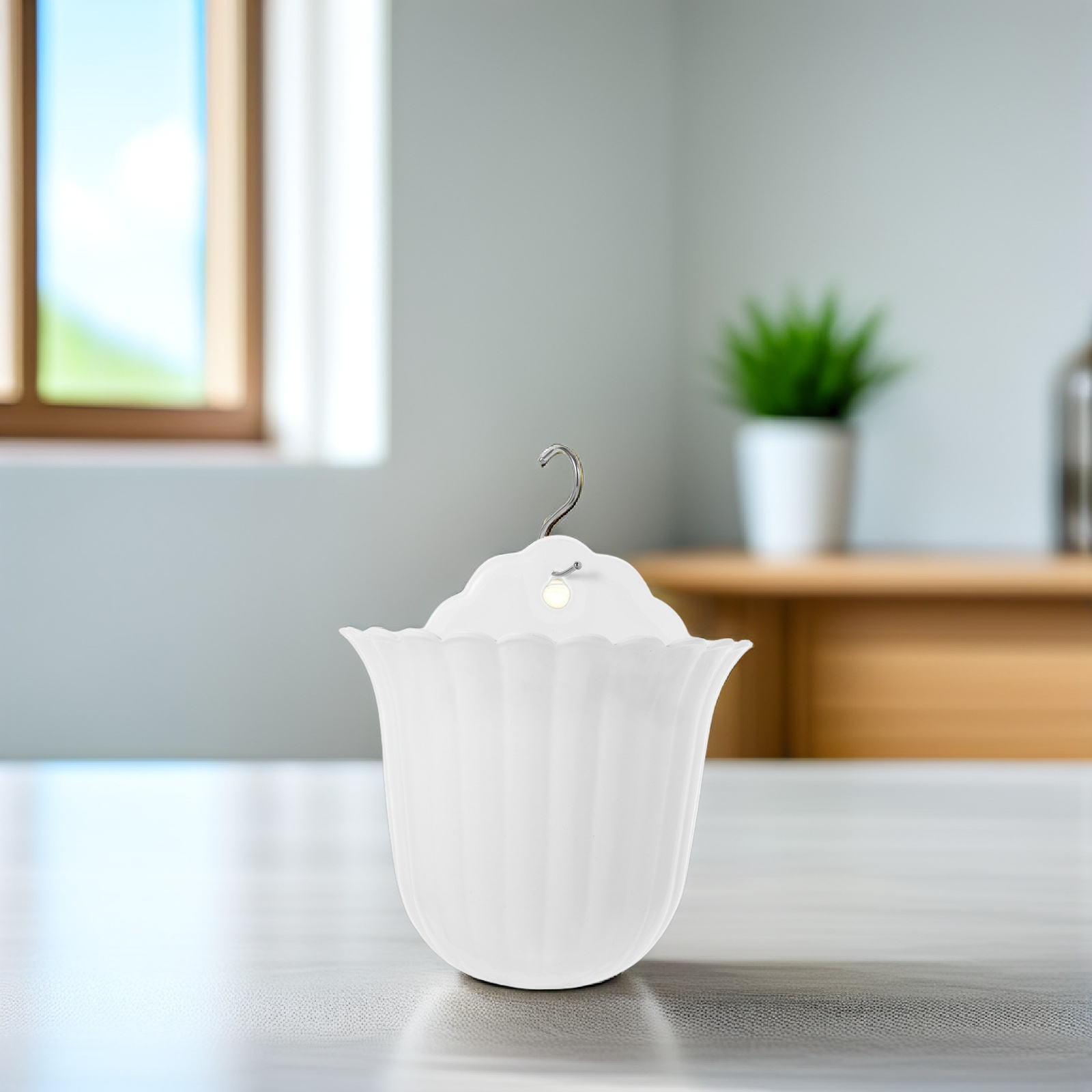 Soporte de pared para plantas  - Succulent Planter Pot reseña y precio