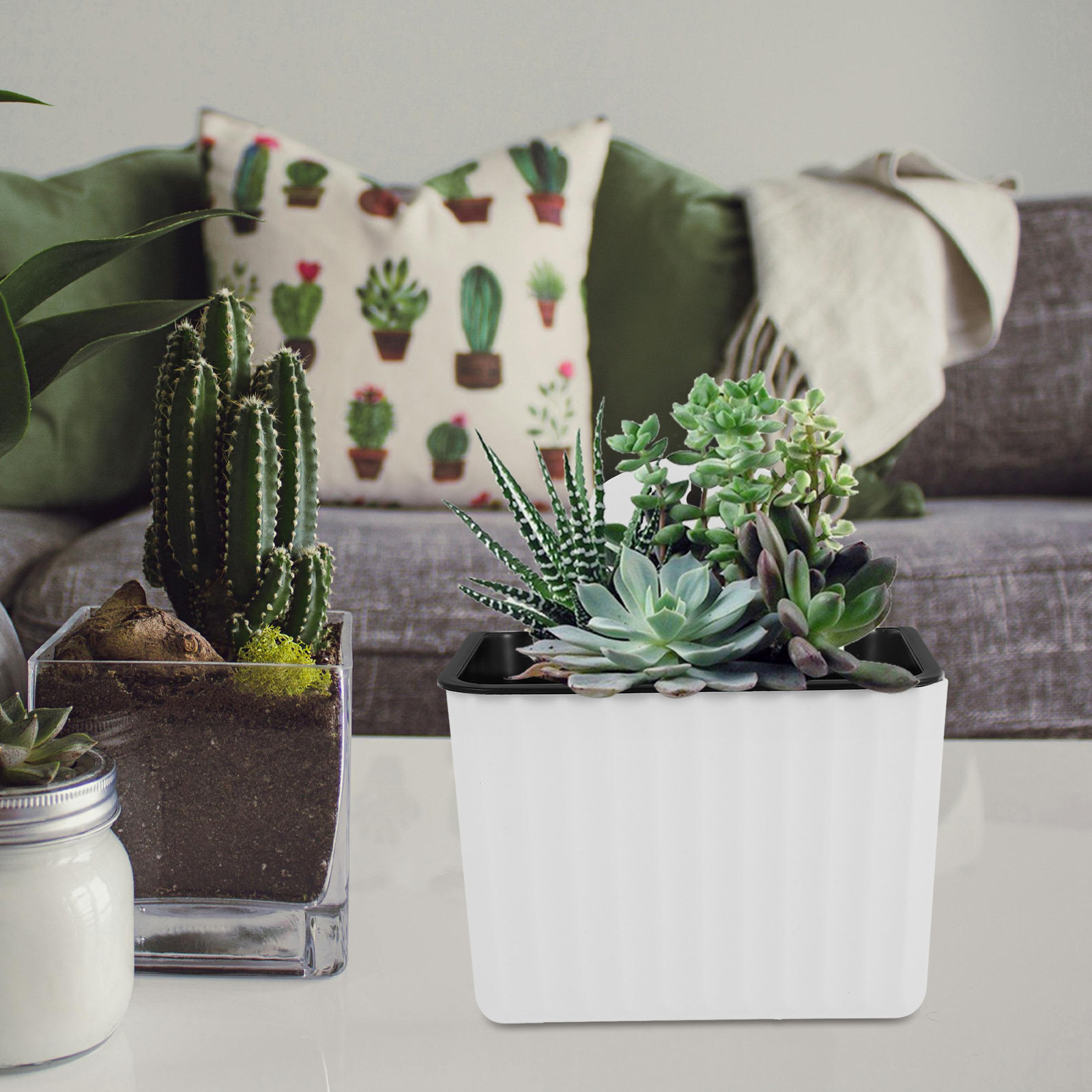 2 Macetas Autoirrigables Colga - Succulent Planter Pot reseña y precio